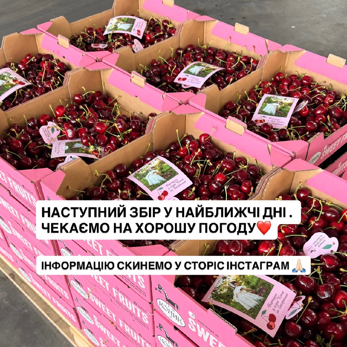 Текст слайду